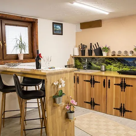 公寓 Olczanski Gosciniec Nr 1 扎科帕内