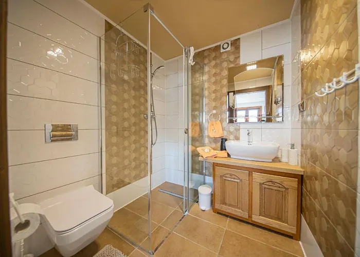 Olczanski Gosciniec Nr 1 *