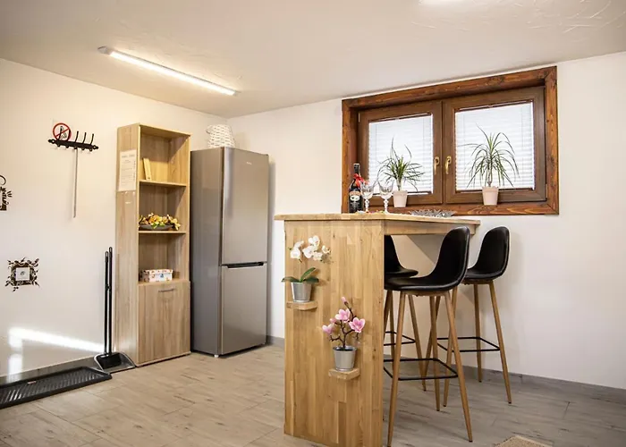 Διαμέρισμα Olczanski Gosciniec Nr 1 Ζακοπάνε